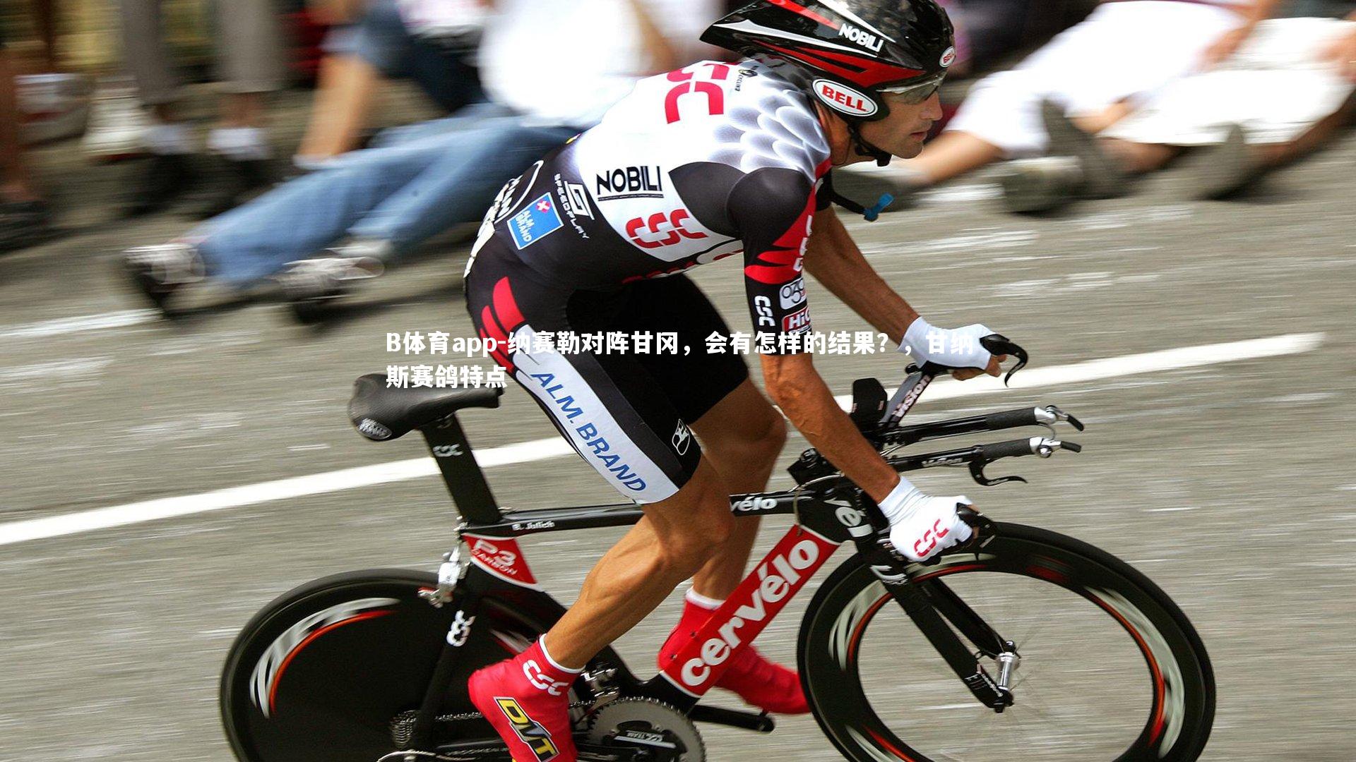 B体育app-纳赛勒对阵甘冈，会有怎样的结果？，甘纳斯赛鸽特点