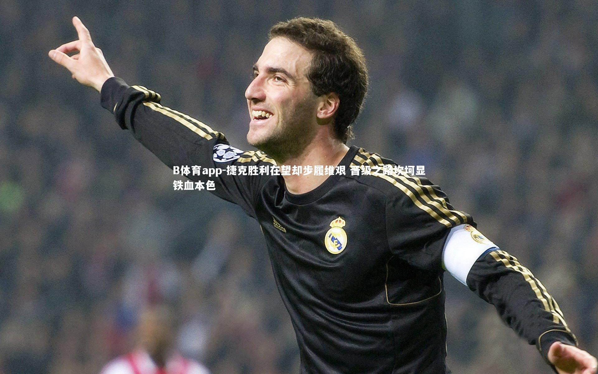 B体育app-捷克胜利在望却步履维艰 晋级之路坎坷显铁血本色